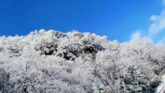 某些动画抓不到羊砍不着树,还拍几百集,不如陪孩子看点有营养的