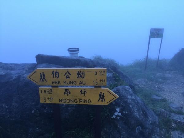 依维柯卡车拼拼看