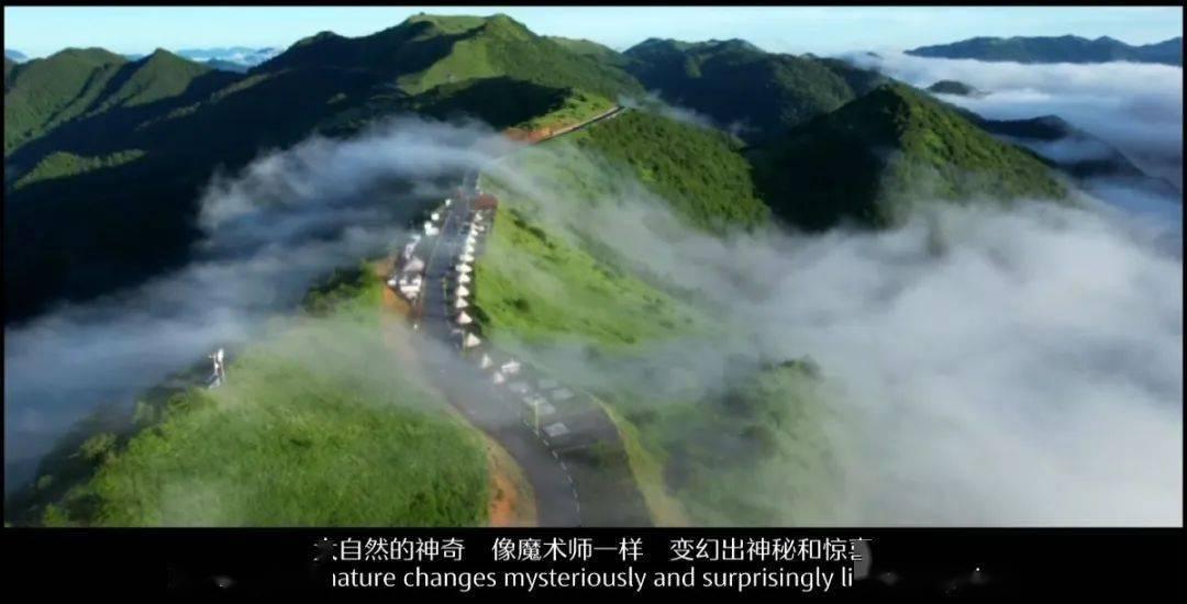 《青春有你2》鞠婧祎突然出现，仅1秒钟的镜头，令全网男粉沸腾